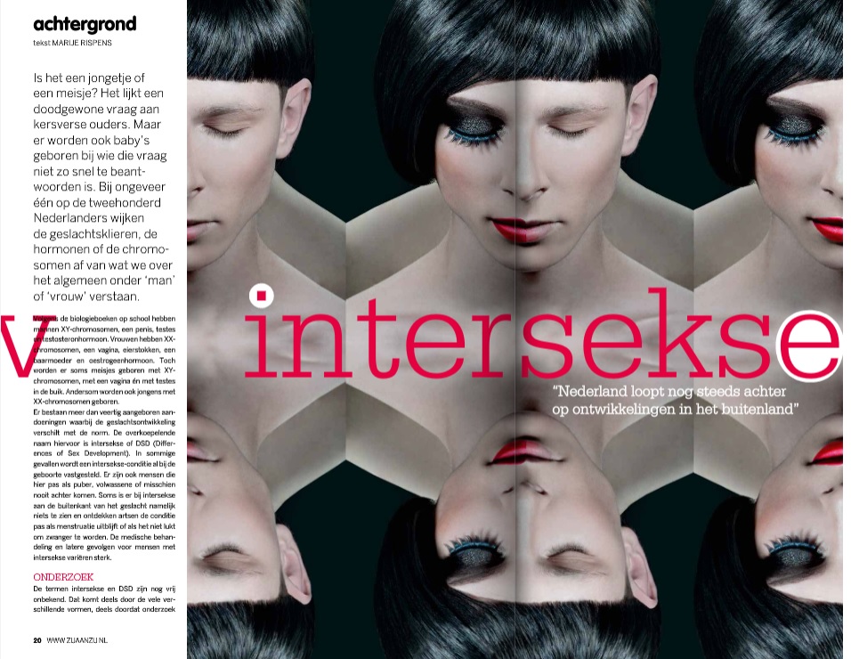 intersekse artikel