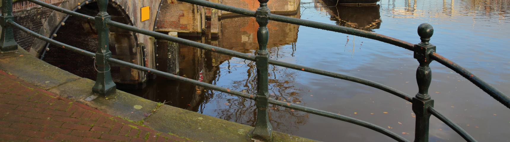 De vrouw op de brug